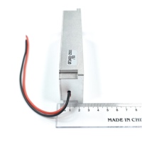 Amplificateur de puissance RF GaN personnalisable 50W 2400-2500MHz, module Lora, module anti-drone, VCO intégré