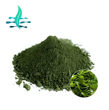 Bột Tảo Spirulina Hữu Cơ Tự Nhiên Nguyên Chất Còn Hàng