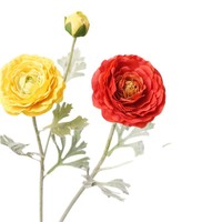 Tige de fleur de renoncule artificielle réaliste, fausse fleur de renoncule persan en soie pour bouquet de mariage et décoration de vase à domicile