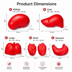 Pelotas Antiestrés de Espuma con Forma de Órganos Médicos Personalizadas: Corazón, Pulmón, Riñón, Hígado, Estómago, Juguetes Aprietables para Promoción Sanitaria - Product Image 2