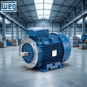 Motor de Inducción de CA de Baja Tensión Trifásico Serie WEG W21, Montaje en Piso, Eficiencia IE3, Protección IP55, 7.5kW, 1480 RPM - Product Image 2