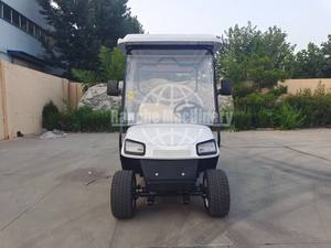 Voiturette de golf électrique 8 places à bas prix, personnalisée, hautement configurée, homologuée pour la route, pour le golf et le transport de passagers - Product Image 2