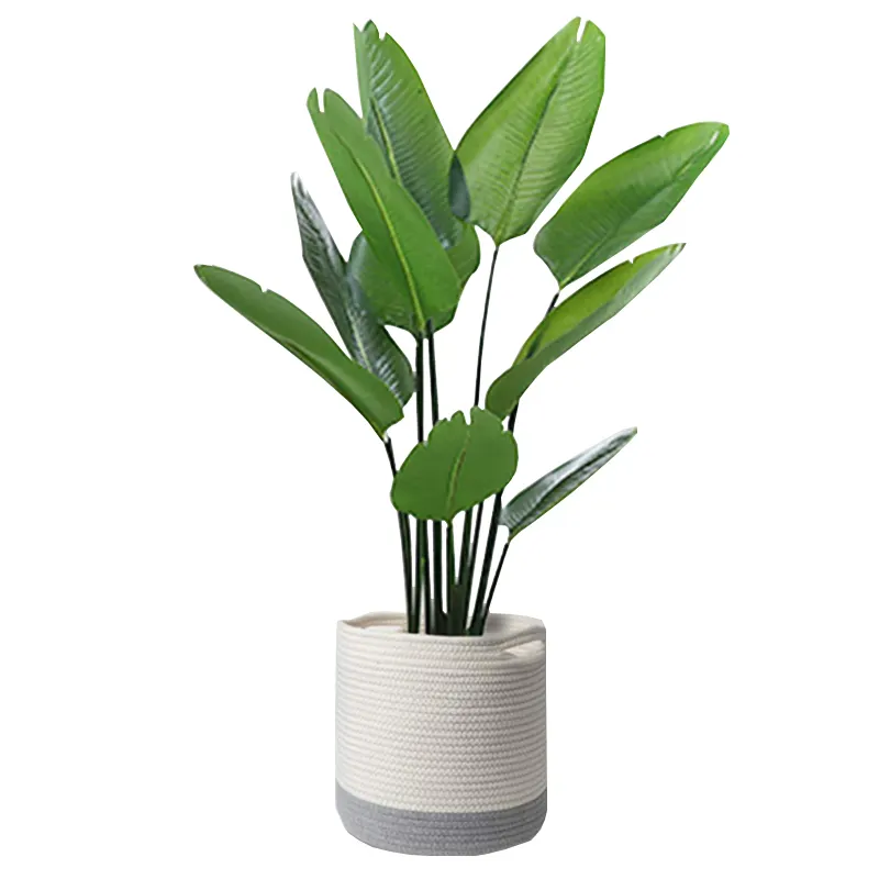 Petite plante tissée enroulée panier décoratif Pot de fleur couverture placard bac de rangement Table bureau organisateur coton corde plante panier