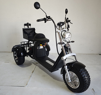 Scooter électrique à trois roues intelligent avec GPS, pliable, étanche, batterie au lithium, pneus larges, chariot de golf City Coco