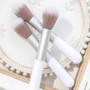 Wholesale Professional 10 pcs Rose Gold Plastic Plating Handle Blush Make Up Brushes Girls Daily Makeup Brush Set With Case