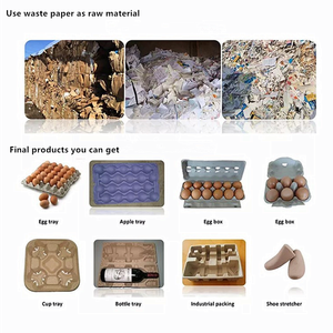 Machine de fabrication de plateaux à œufs en papier Beston Group BTF1-3 800 - <span class=keywords><strong>1000</strong></span> pcs/h expédiée au <span class=keywords><strong>Congo</strong></span> - Product Image 6