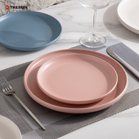 Plato Redondo Plano de Porcelana con Acabado Mate Blanco Hueso, Estilo Nórdico, para Servir Comida Occidental, Plato de Cerámica Personalizado para Filetes, para Hotel