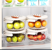 GREENSIDE Bac de rangement pliable portable pour fruits et légumes Bol d'égouttage de cuisine Boîte de conservation pour réfrigérateur pour voyage en plein air