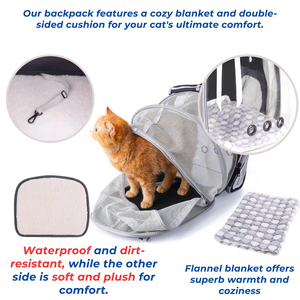 Sac à dos de transport portable pour petits animaux, approuvé par les compagnies aériennes, en plastique transparent et tissu Oxford, style classique pour l'extérieur - Product Image 3