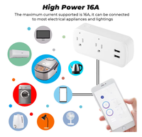 Prise US 16A Tuya WiFi Smart Double Prise USB Compatible Google Home Alexa Adaptateur de Prise 2-Ac IP33 Étanche Anti-Sabotage