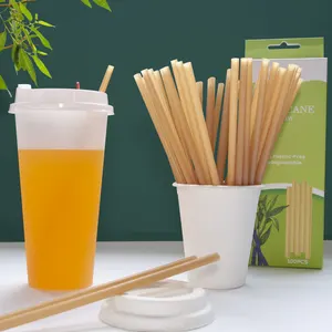 Biodegradable Straw Agave Sugarcane Bagasse ECO Friendly Disposable Straw Sugarcane Drinking Sugar Cane Straw