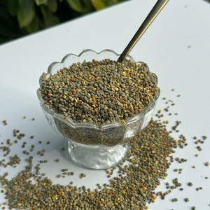 Polen de Abeja Mixto de Alta Calidad, Polen de Abeja en Polvo al por Mayor, Polen de Abeja Saludable a Granel - Product Image 5