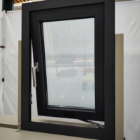 Ventana de baño estándar de estilo abierto oscilante Ventana de toldo de vidrio tintado Pantalla de acero inoxidable Aleación de aluminio Hoteles Oficinas