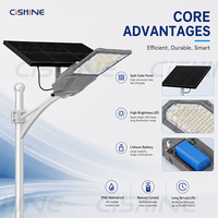 Lampadaire Solaire Extérieur Étanche Cishine IP65 200W 300W 400W 500W avec Batterie Intégrée et Bras pour Éclairage Routier