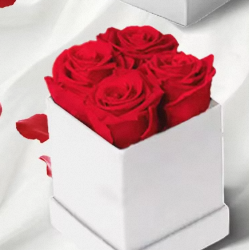 <span class=keywords><strong>Rose</strong></span> Naturali Preservate a Lunga Durata, Fiori Eterni Immortali in Confezione Regalo per San Valentino - Product Image 2