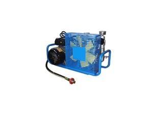 Elektrischer tragbarer Luft kompressor 300 Liter Pcp Luft kompressor - Product Image 2