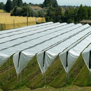 Bâche de protection pour vergers de raisins, <span class=keywords><strong>anti</strong></span>-<span class=keywords><strong>grêle</strong></span> et forte pluie, imperméable, pour vergers de kiwis et de cerises - Product Image 6
