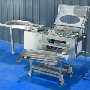 Nhà Máy Cung Cấp Công Suất Cao Gấp Đôi Rows <span class=keywords><strong>Egg</strong></span> Shell Breaker Máy Thương Mại <span class=keywords><strong>Egg</strong></span> Shell Opener Remover Máy - Product Image 6