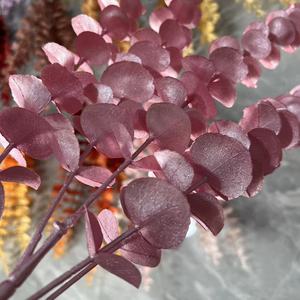 <span class=keywords><strong>5</strong></span> ramas boda artificial largo tacto real eucalipto flor hoja Rama - Product Image 5