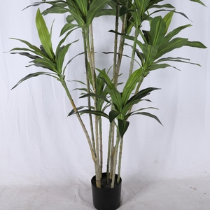Brasil Lucky Tub Plant Artificial Four Seasons Green Plastic Plant Desktop Brazilwood Tree Forest Dracaena <span class=keywords><strong>Bonsai</strong></span> Plante - Product Image 4