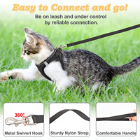 Ensemble Harnais et Laisse Réfléchissant en Nylon Respirant pour Chat, Écologique, Anti-Évasion, Réglable, Vente en Gros