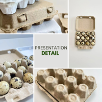 Fournisseur de plateaux à œufs en carton compostable pour cailles, 12 alvéoles, plateau en pulpe dégradable, plateau à œufs de caille