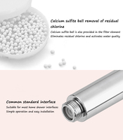 Pomme de douche Skin Beauty VC avec filtre en pierre capable d'éliminer le chlore et de réguler la pression de l'eau