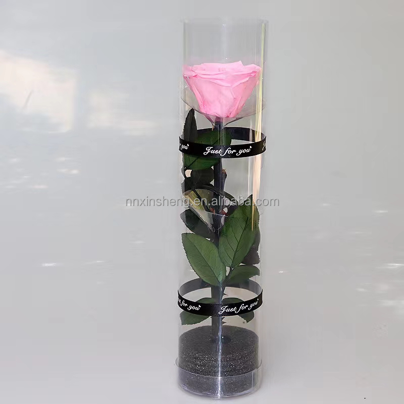 rosa brillante