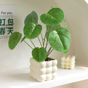 <span class=keywords><strong>ต้น</strong></span>ไม้ประดิษฐ์ในกระถางเซรามิกสำหรับตกแต่งบ้าน สำนักงาน ชั้นวางของ และโต๊ะ - Product Image 4