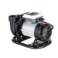 Pompe à Eau Solaire Centrifuge de Surface DC 1.6ch 2 Pouces avec Moteur PMSM pour l'Irrigation Agricole