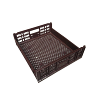 Plateau de rangement en plastique PE maillé 550x480x170mm pour pain et biscuits, prix avantageux