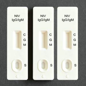 Teste de Anticorpos do Vírus Nipah em Conformidade com CE-DoC, Amostra de Sangue, Resultados em 20 Minutos - Product Image 2