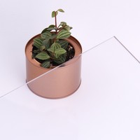 Plaque en polycarbonate insonorisante, panneau PC transparent résistant aux chocs pour application de barrière acoustique routière