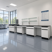 Armoire murale de laboratoire de chimie en acier avec plan de travail en résine phénolique noire, étagère à réactifs, pour laboratoire scolaire et atelier pédagogique