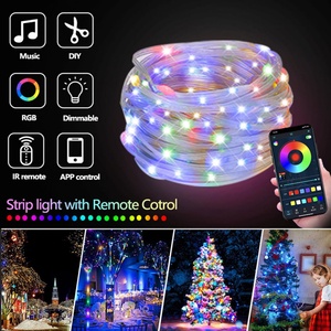 IP65 ABS RGB Smart Decoration LED <b>String</b> <b>Light</b> Outdoor with Remote/APP Control for Christmas - Product Image 3