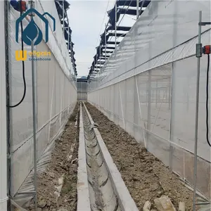 Fattoria verticale di coltura idroponica del contenitore di orticoltura intelligente dell'azienda agricola verticale
