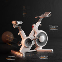 Vélo de spinning magnétique intelligent avec double roue à roulettes, cadre en acier inoxydable, design pliable pour entraînement cardio complet à domicile