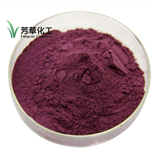 Độ tinh khiết cao 25% anthocyaninsdark Violet bột mịn Blueberry chiết xuất CAS 84082 - Product Image 1