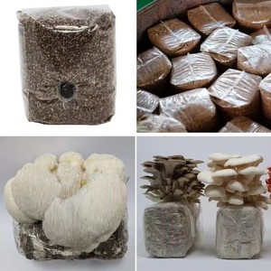 Nhà Máy giá tự động Oyster phương tiện truyền thông phân compost <span class=keywords><strong>Shiitake</strong></span> trồng trọt nấm phát triển Túi điền vào máy - Product Image 6