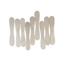 Bâtonnets de crème glacée faits maison en bois de bouleau blanc, écologiques, économiques, portables, avec emballage personnalisé, faible MOQ