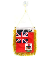 Drapeau Belize drapeau suspendu petit Mini drapeaux de voiture bannières rétroviseur décoration avec ventouse bannière à franges dorées