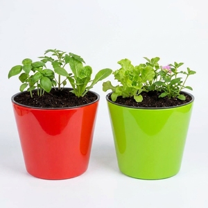 Decorative Desktop <b>Plastic</b> Self-Watering Flower <b>Planter</b> <b>Pots</b> for Succulents Herbs Orchids with Visual Water Indicator - Product Image 6