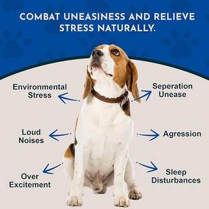 ยาหยอดออสคาร์ผลิตจากยาแก้เครียดยาหยอดออร์แกนิกสำหรับสุนัขและแมว - Product Image 2