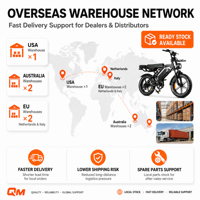 Vélo électrique à pneus larges QMWHEEL 20 pouces, OEM ODM, vélo de ville et de montagne pour adultes, avec stock en entrepôt aux Pays-Bas et aux États-Unis