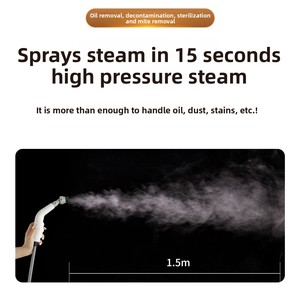 Nettoyeur vapeur haute pression puissant, dégraissant haute température pour cuisine, éliminateur de taches d'huile - Product Image 3