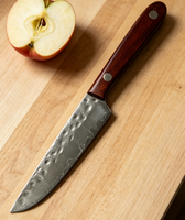 Fruitmes Damascus staal lemmet houten handvat duurzaam