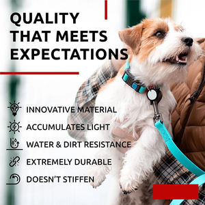 Offre Spéciale collier de chien en PVC innovant léger accumulant une boucle réglable résistante à la saleté imperméable et durable - Product Image 2