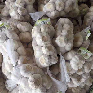 Proveedor de Ajo Fresco Estándar Chino para Venta al por Mayor de Ajo Blanco Normal a Precio de Mayoreo - Product Image 2