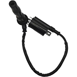 Bobine d'allumage Jilong 3189 monocylindre pour pièces de moto Everest Kaiyue 500X - Product Image 2