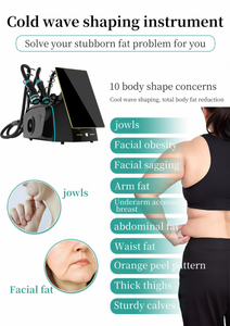 Máquina de Rejuvenecimiento de la Piel con Tecnología Vertical Pro Cold Wave ABS al Mejor Precio, para Lifting Facial y Pérdida de Peso Corporal - Product Image 3